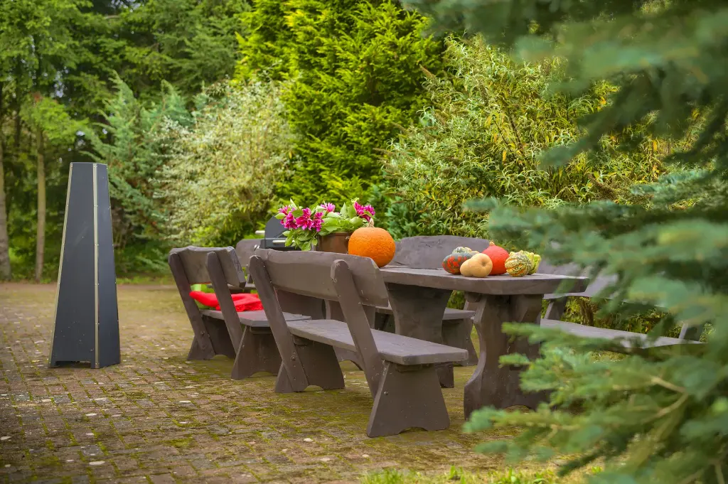 Z62_6837-HDR.webp