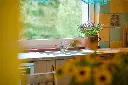 Z62_5797.webp