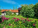 20250617_171320.webp